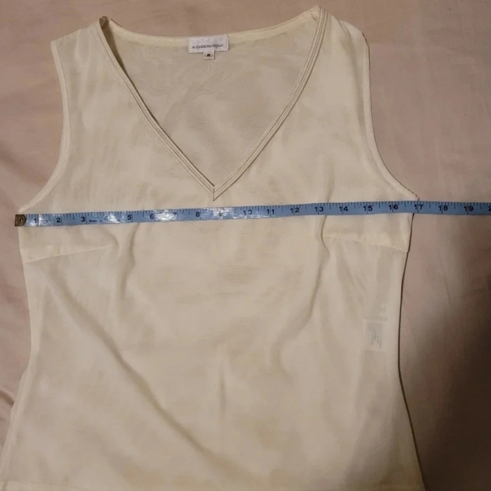 Alexandra Rosati sheer v-neck Size Medium - Picture 6 of 6
